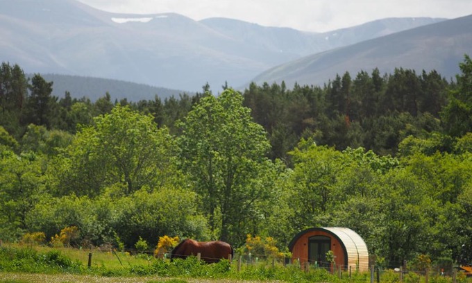 Nethy Bridge Apartment | Ptarmigan