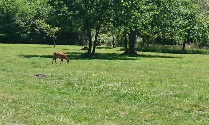 Gaillan-en-Medoc House | PUR nature and beach