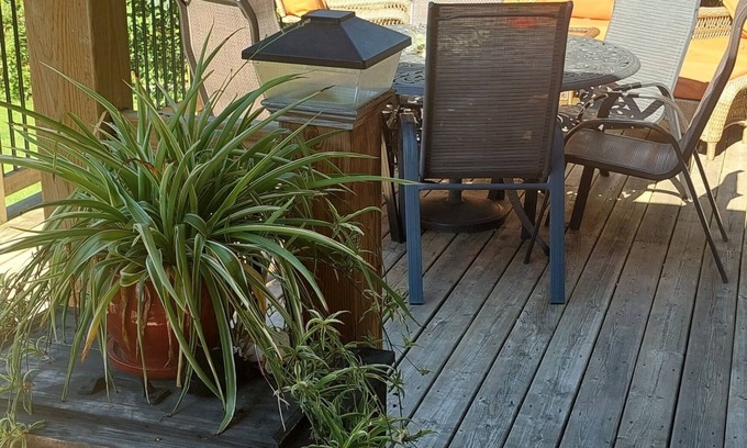 Cannifton House | Quaint Rural Property Nestled in historic Halloway Heights