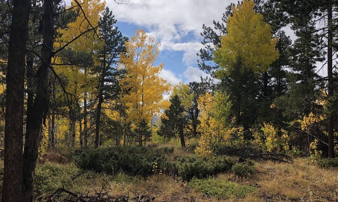 Black Hawk House | Quartz Point Ranch: 20 beautiful acres to roam!