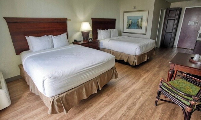 Treasure Island Hotel | Queen Queen Poolside