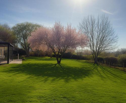 Peltre Apartment | Quiet and good location apt
