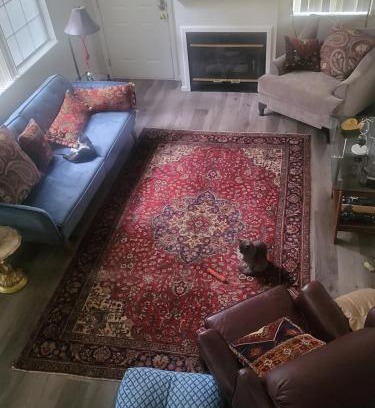 Westminster House | Quiet Relaxing Room