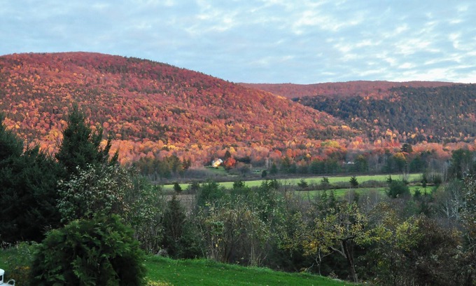 Middlebury Apartment | Quiet, sunny apartment with WiFi and southerly views in delightful Middlebury