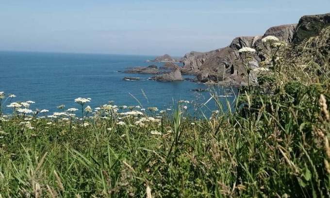 Hartland House | Quincecote mini guest wing. Small and tasteful one bed rural accommodation