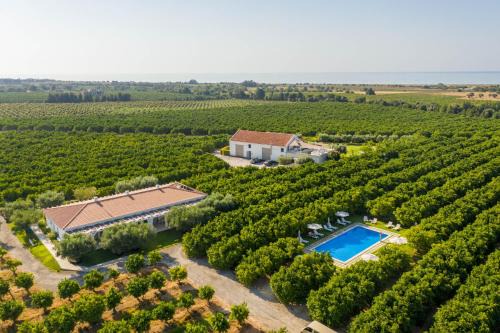 Conceicao e Cabanas de Tavira House | Quinta Dos Perfumes