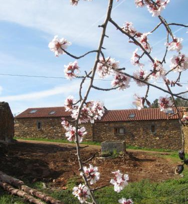 Torre de Moncorvo House | Quinta dos Baldo
