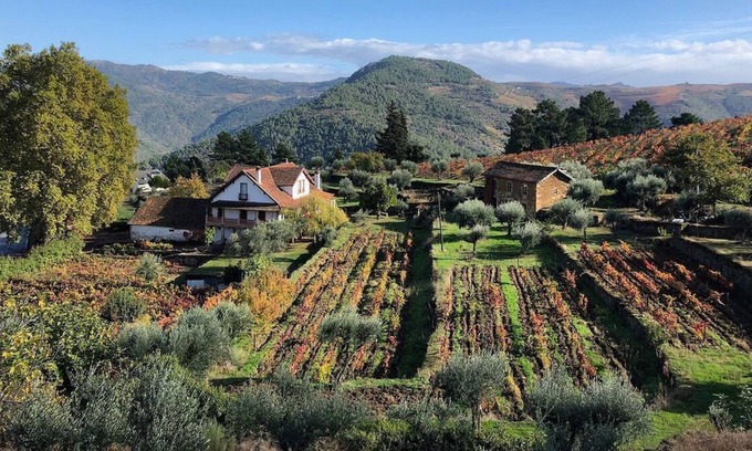 Cotas Other | Quinta Vila Rachel - Winery - Ofélia House