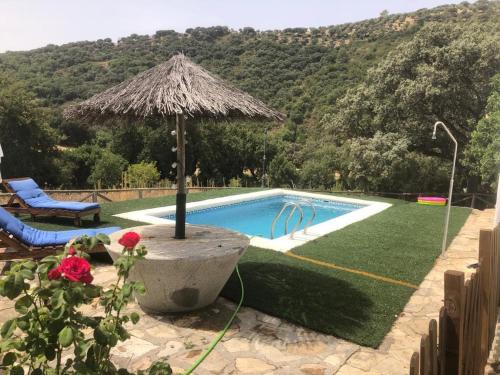 Prado del Rey House | Rancho Calvillo