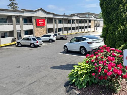 Cove - East Side - Shippan Hotel | Red Carpet Inn - Stamford