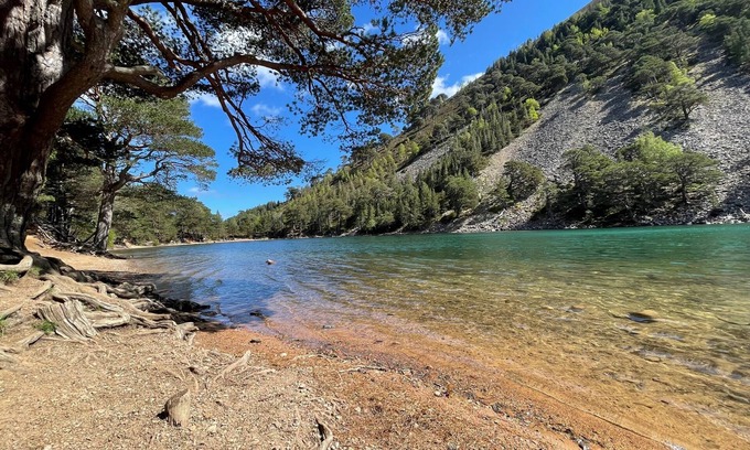 Alvie Cottage | Red Deer Lodge