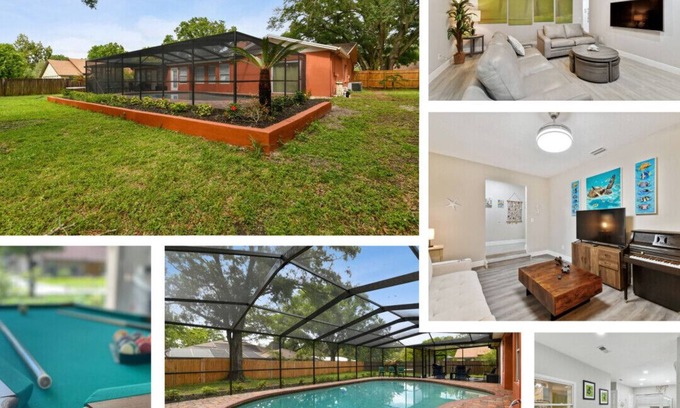 Temple Terrace House | Red Royalty Pool, King Bed, Yard