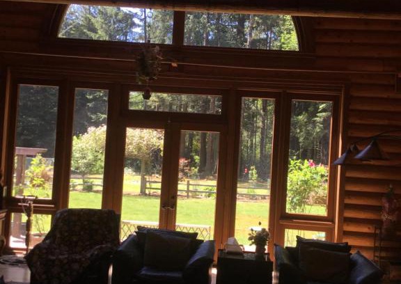 Crescent City House | Redwood forest