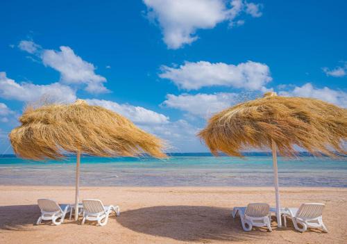 Marsa Alam Hotel | Reef Oasis Suakin Resort