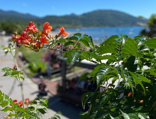 Feriolo Apartment | Regina e Oriente - La casa del Moro