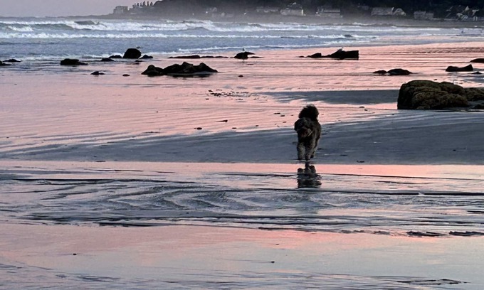 York Beach Cottage | Renovated Longs Sands Cottage with additional Bunkhouse + AC! Walk to Bathhouse