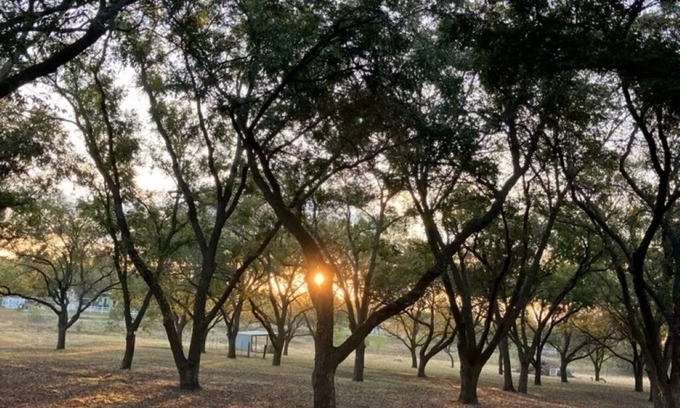 Lometa House | Rent entire family friendly country home with a handcrafted live edge furniture