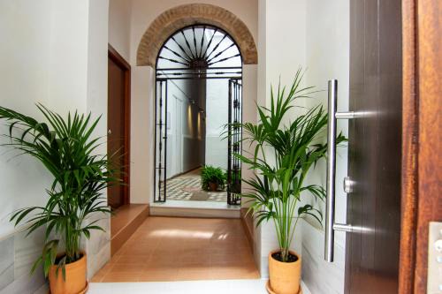 Alameda Apartment | RentalSevilla Lumbreras I