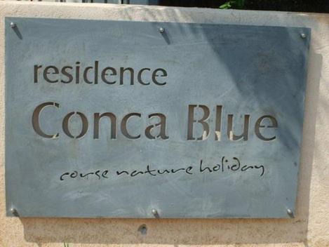 Tarcu Apartment | Residence Conca Blue