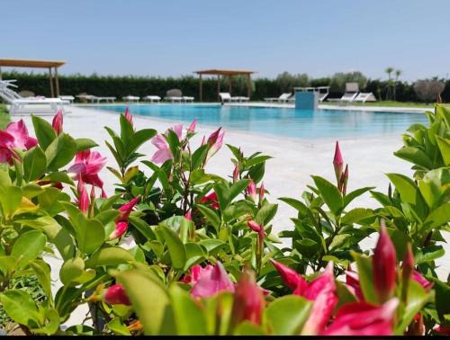 Grosseto Apartment | Residence la Pace - Pool & Relax