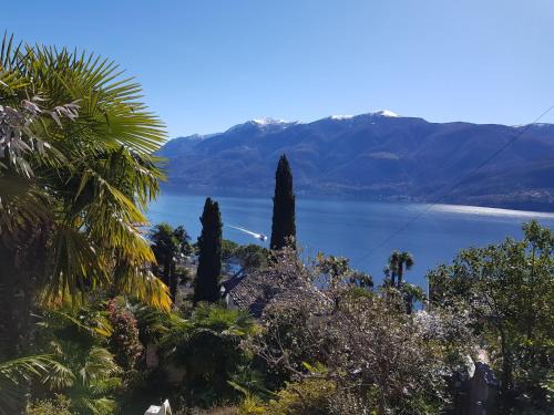 Brissago House | Residence Venus Garden
