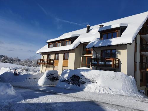 Titisee-Neustadt Apartment | Residenz Am See - Fewo 1 und Fewo 3