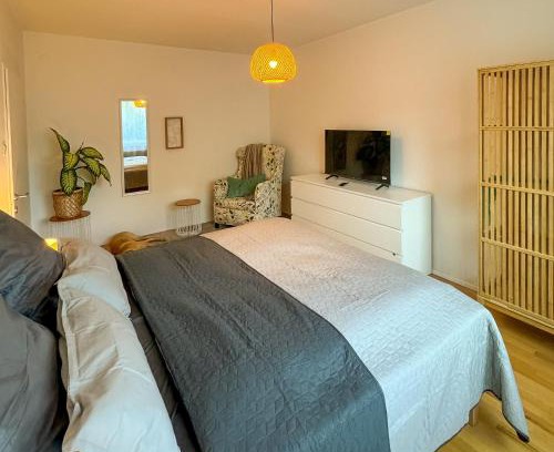 Baden Apartment | revLIVING Kaiser Franz Septima Altstadt Apartment Baden