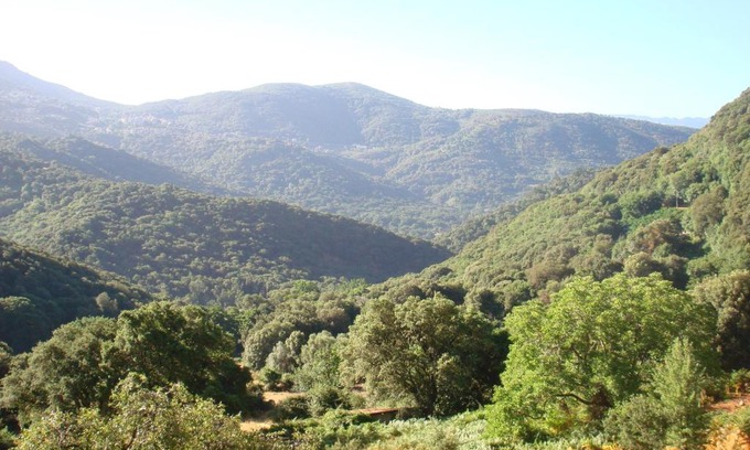 Loreto-di-Tallano Apartment | Rez de Villa