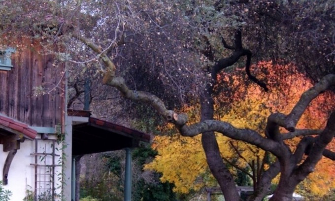 Three Rivers House | Romantic Three Rivers River Craftsman