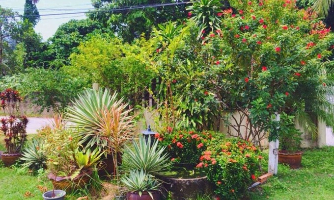 Cherngtalay Hotel | Ron's Bungalow