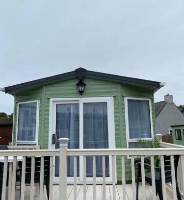 Newton Stewart Other | Rosie