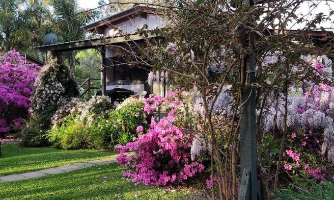 Partido de Tigre House | Ruca Hueney