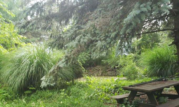 Hollowville Cabin | Rustic cabin nearby Windham,Hunter and Catamount ski resorts.