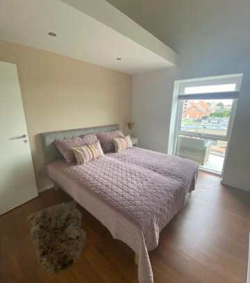 Skanderborg Apartment | Søbyen