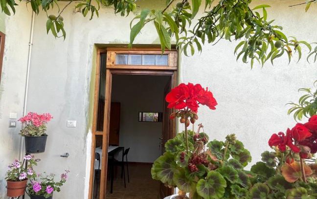 Alghero Apartment | Sa Covula