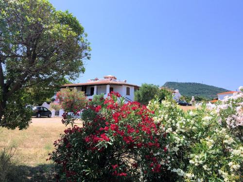 La Ciaccia Apartment | Sa Fiorida Angela