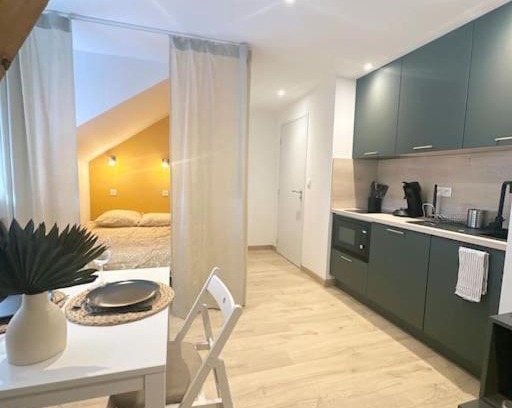Rodez Apartment | /Sacré studio/wifi/parking privé