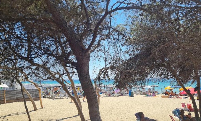 Aradeo House | Salento home