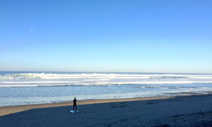 Nelscott Hotel | Sandcastle Beachfront Motel