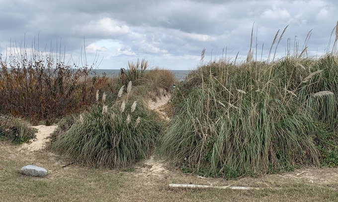 Norfolk - Virginia Beach Cottage | Sandy Dunes BeachFront Cottage - Beach Front