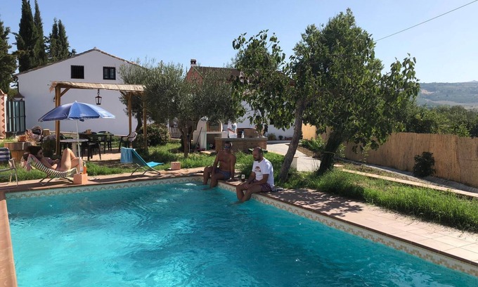Ronda House | Santa Ana fig tree