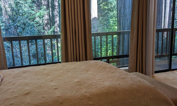 Carbonera Estates Apartment | Santa Cruz RedwoodsnFamily-sized guest suite. Close to hiking & beach.