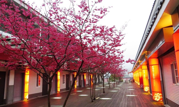 Sanyi Hotel | Sanyi Sakura Resort