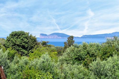 Alghero Villa | SARDINIA RE - Villa La Paloma