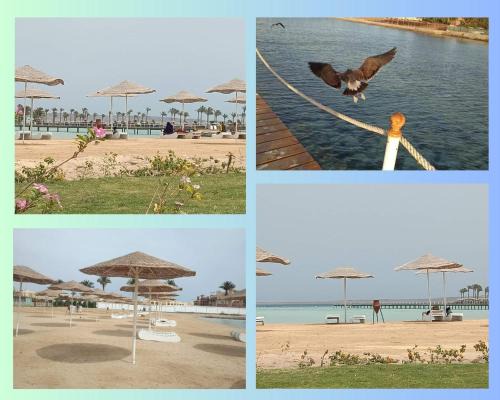 Corniche Road-Dahar Apartment | Scandic Resort: Comfy & Cozy. A433