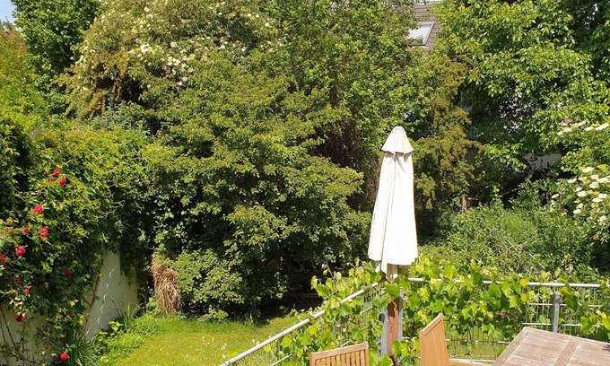 Mainz-Bingen Apartment | Schöner Urlauben in Rheinhessen