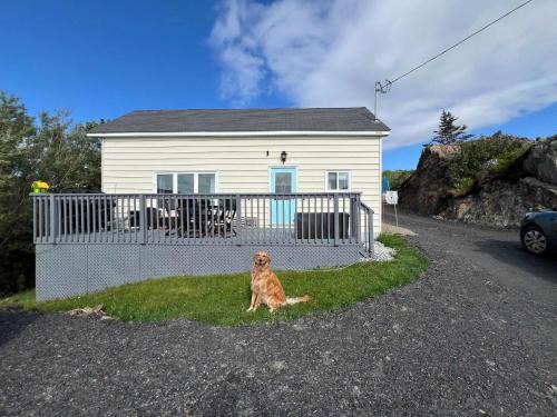 Twillingate House | Scout's House