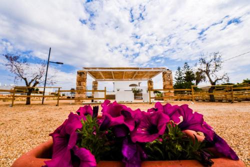 Punta Prosciutto Apartment | Sea Salento Casa Vacanze