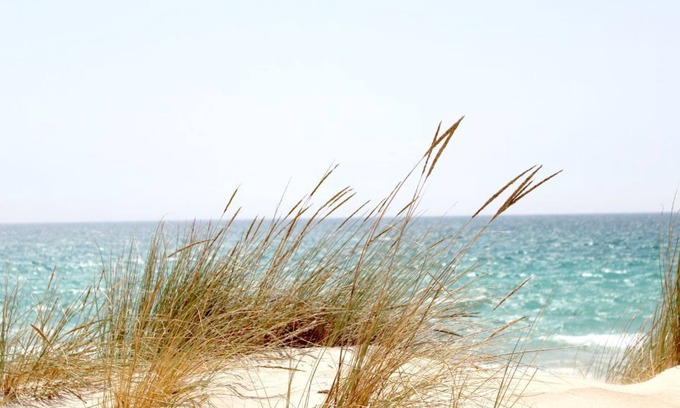 Maruggio Villa | Seafront villa surrounded by garden