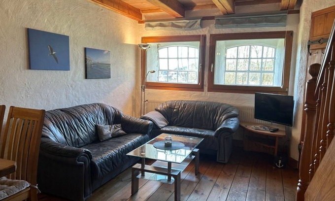 Vollerwiek Cottage | Seagull - hoarfrost by the sea